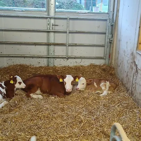 Schustererhof * Инсбрук