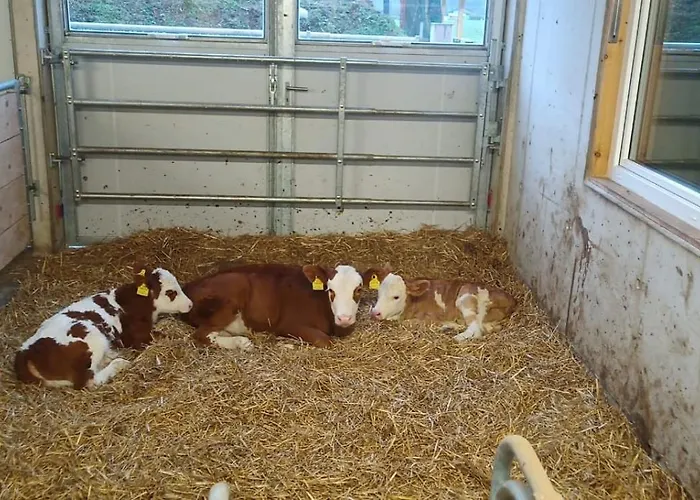 Schustererhof * Ίνσμπρουκ