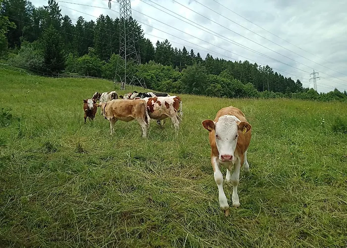 Διαμέρισμα Schustererhof *
