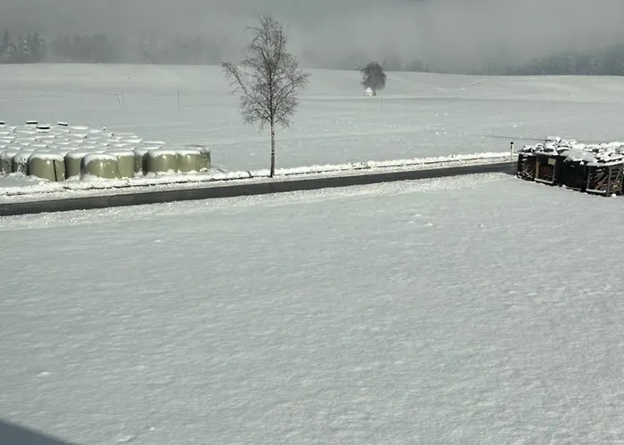 Schustererhof Διαμέρισμα Ίνσμπρουκ