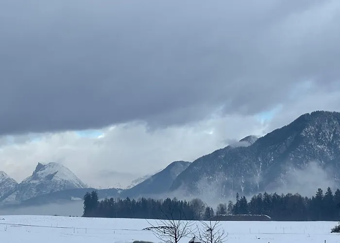 Schustererhof Appartement *